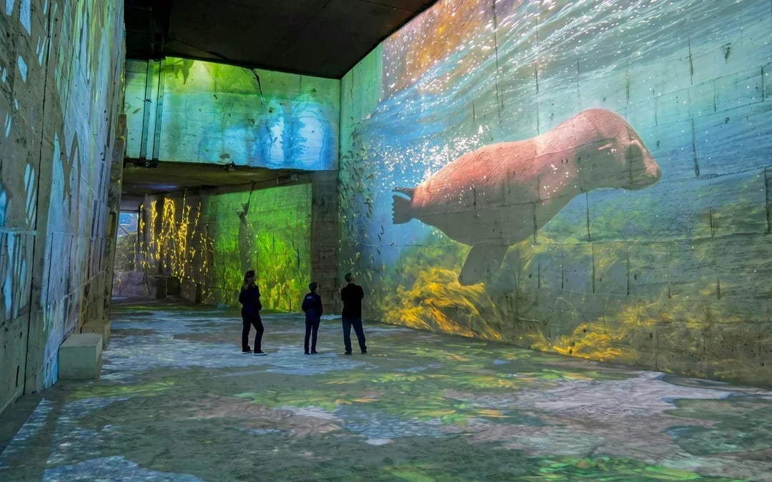 Atelier des Lumières: Immersive Experience Tickets Image 10