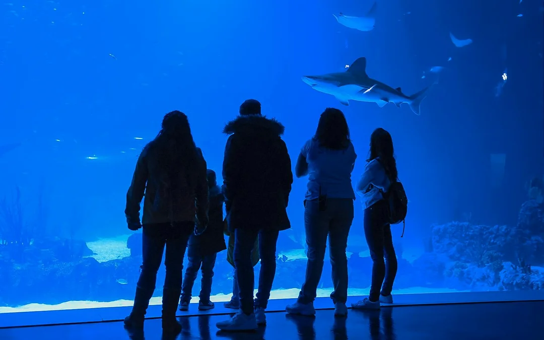 Atlantis Aquarium Madrid Tickets Image 2