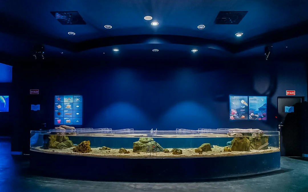 Atlantis Aquarium Madrid Tickets Image 5