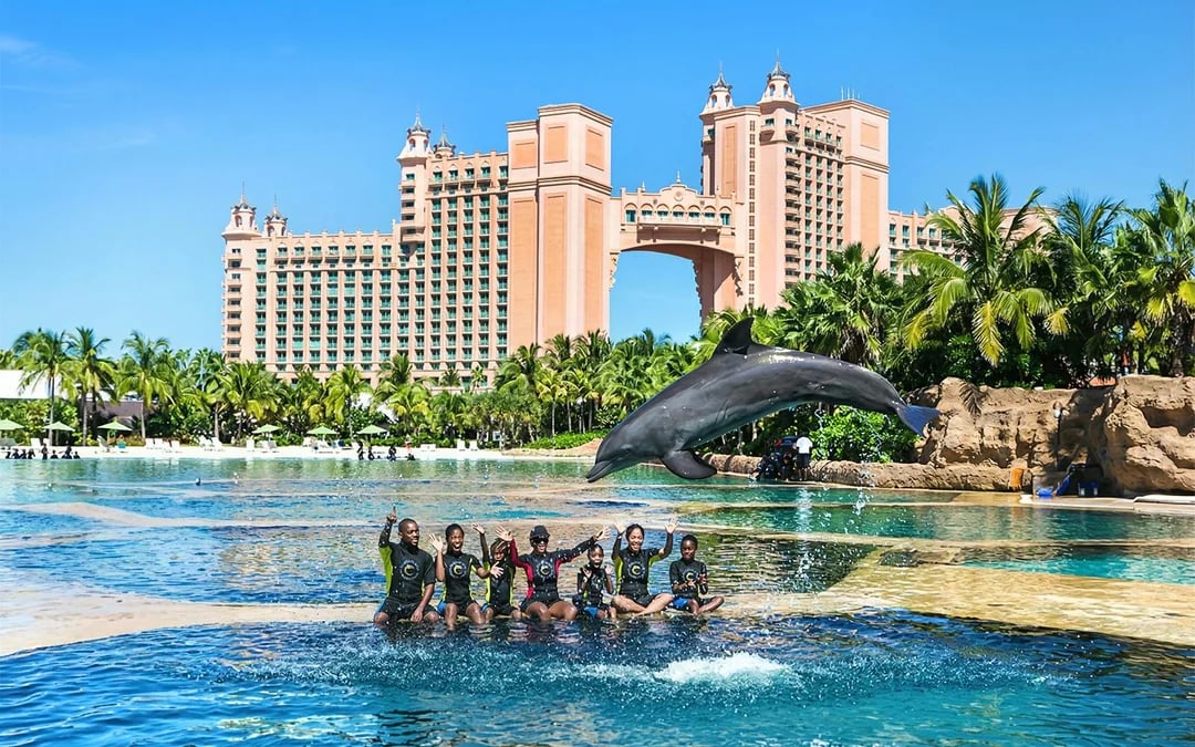Atlantis Aquaventure Water Park Day Pass + Dolphin Cay Playtime with Dolphins Image 1