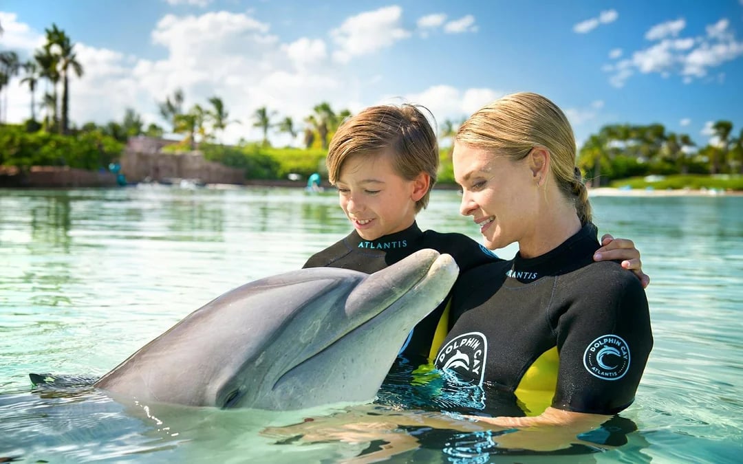 Atlantis Aquaventure Water Park Day Pass + Dolphin Cay Playtime with Dolphins Image 2