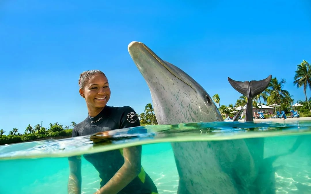 Atlantis Aquaventure Water Park Day Pass + Dolphin Cay Swim in Wonder Image 4