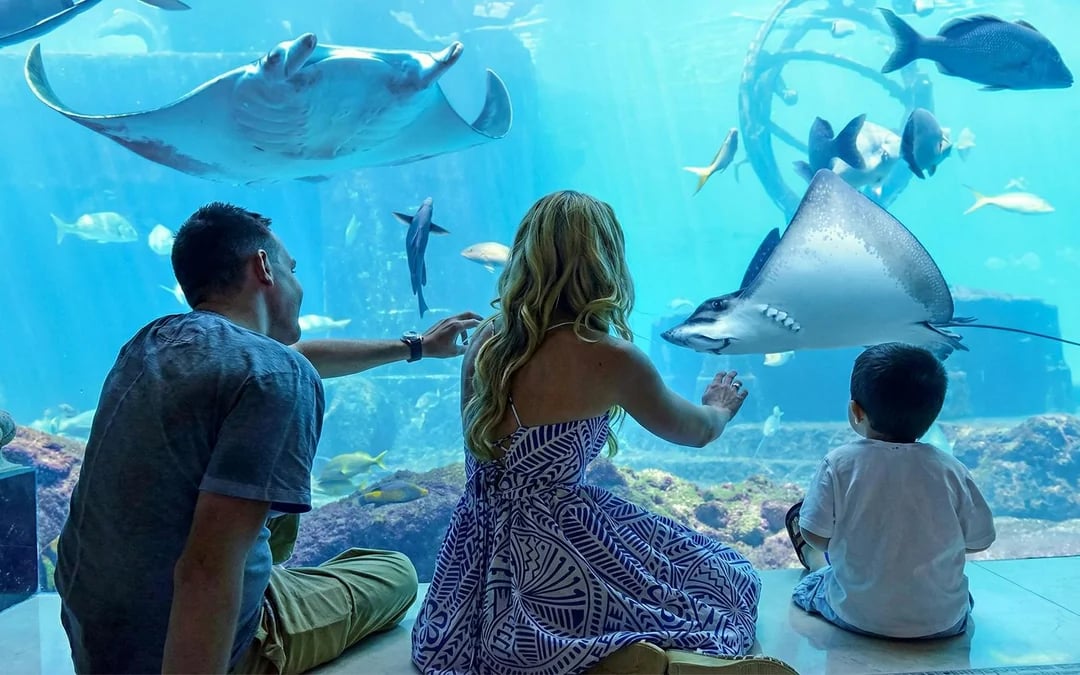 Atlantis Aquaventure Water Park Day Pass Image 5