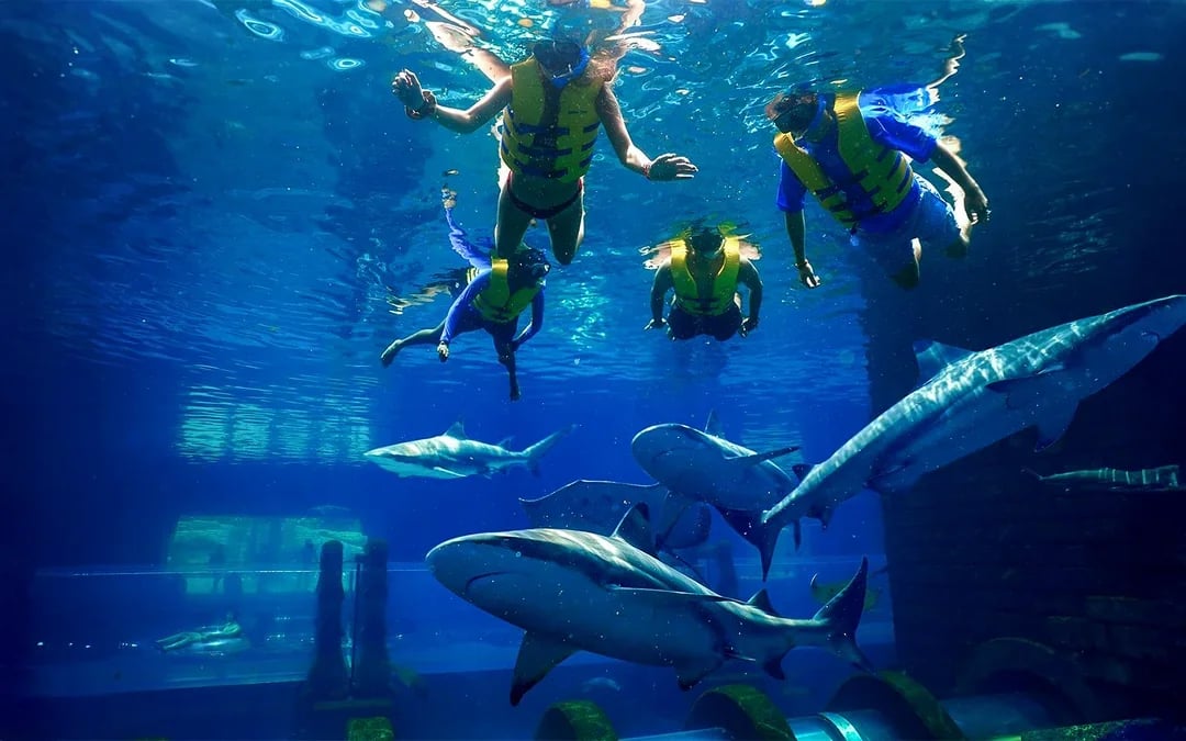 Atlantis Aquaventure Waterpark Tickets Image 9