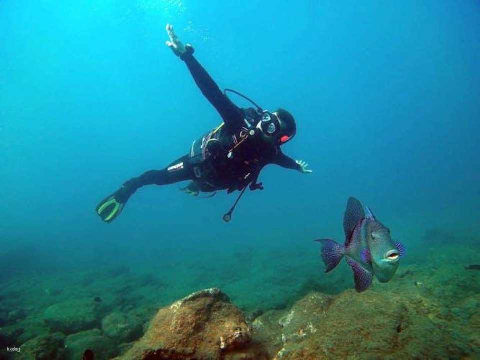 Atlantis Diving Try Dive