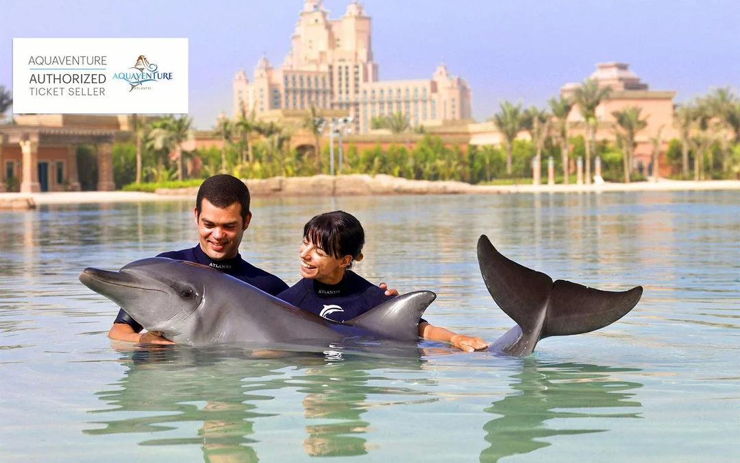 Atlantis Dolphin Swim Image 1