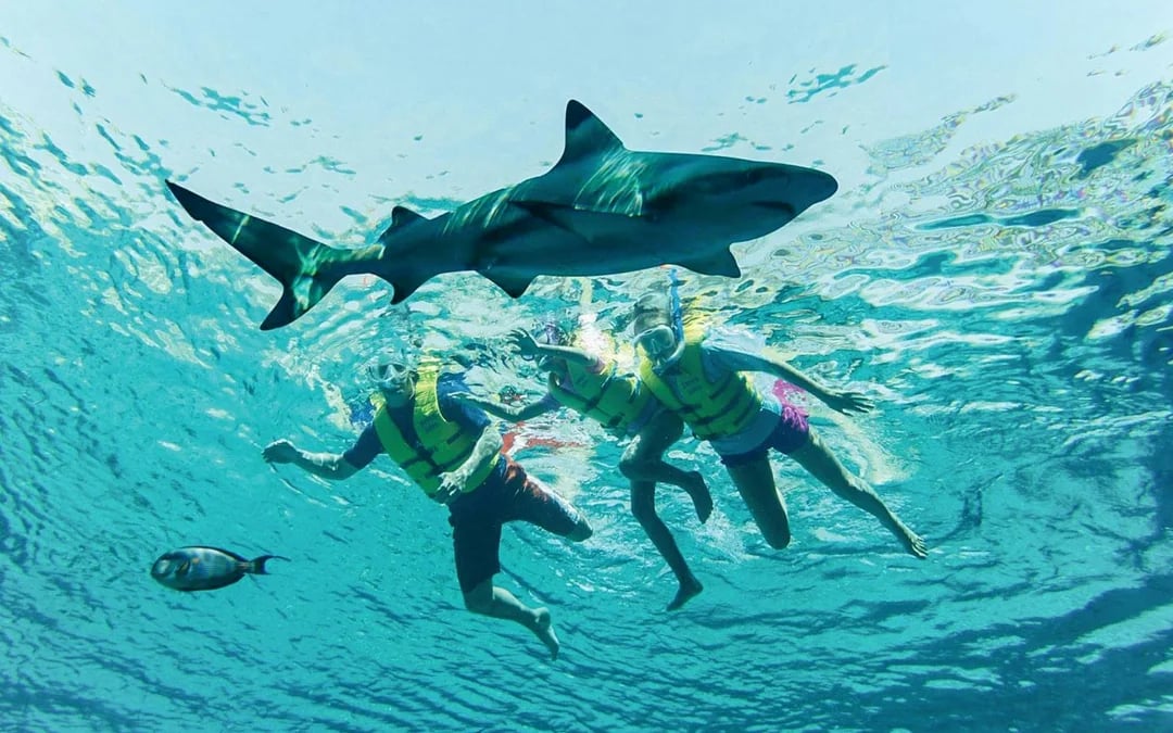 Atlantis Scuba Diving with Lost World Access Image 1