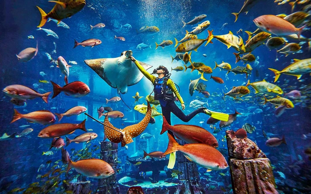 Atlantis Scuba Diving with Lost World Access Image 3
