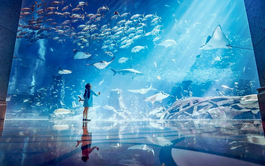Atlantis Scuba Diving with Lost World Access Image 5