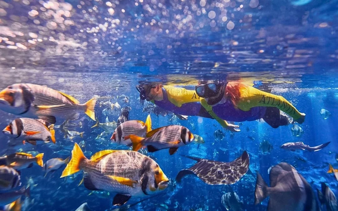 Atlantis Scuba Diving with Lost World Access Image 7