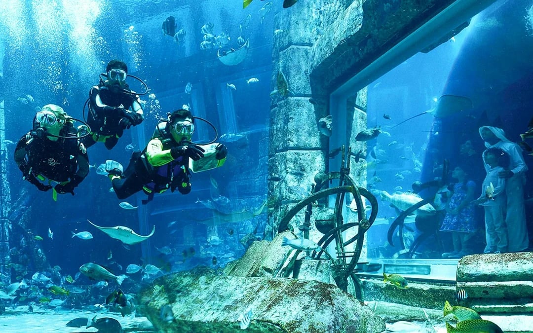Atlantis Scuba Diving with Lost World Access Image 8