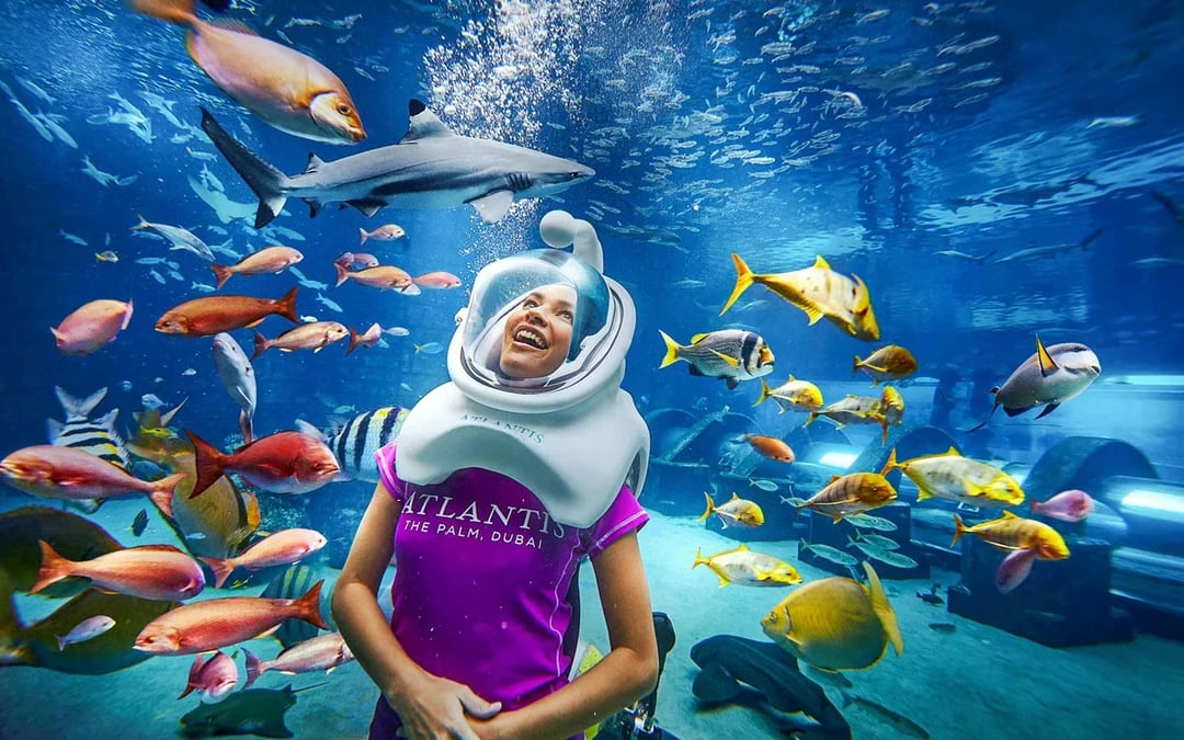 Atlantis Scuba Diving with Lost World Access Image 9