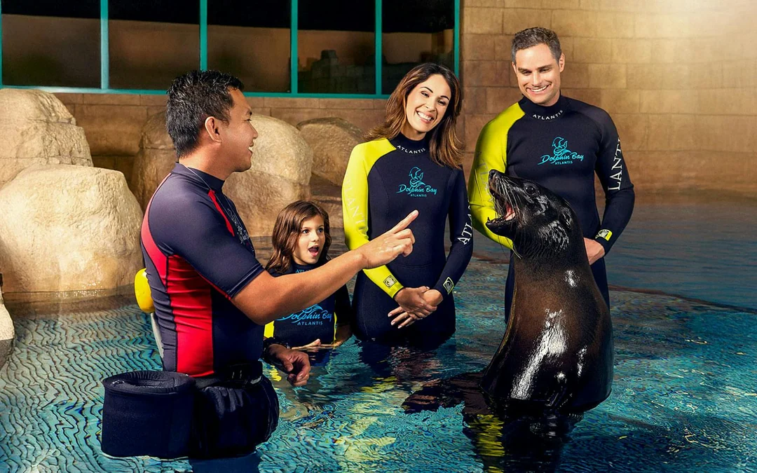 Atlantis Sea Lion Experience Image 3