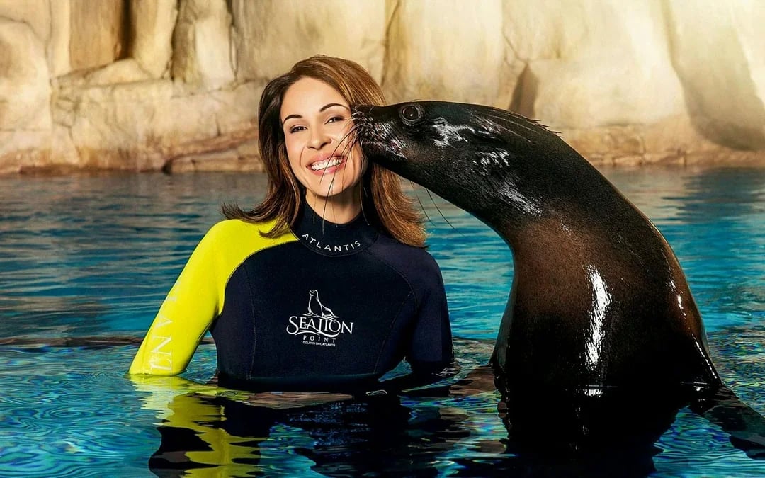 Atlantis Sea Lion Experience Image 4