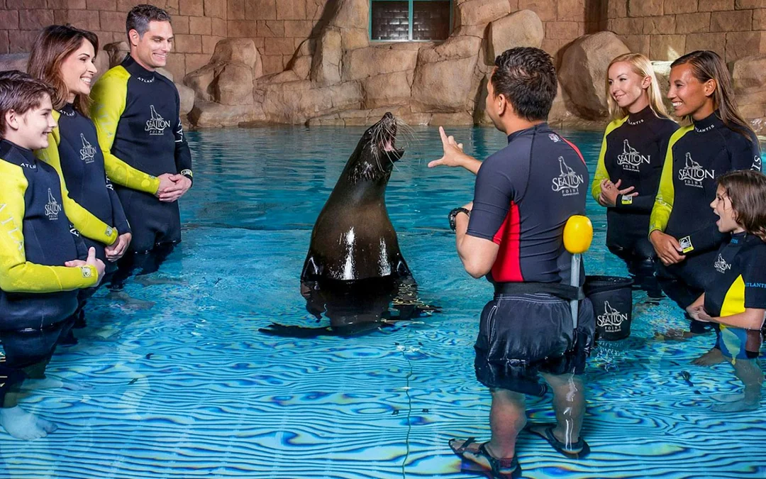 Atlantis Sea Lion Experience Image 5