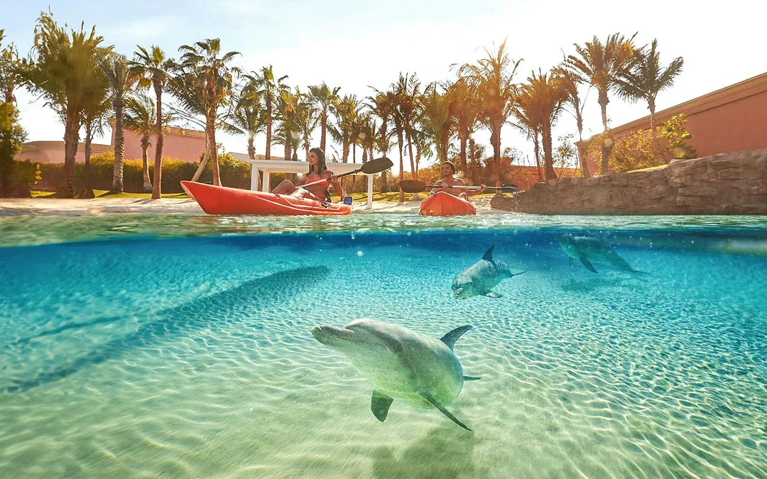 Atlantis The Palm Dolphin Kayak or Paddle Tickets Image 3