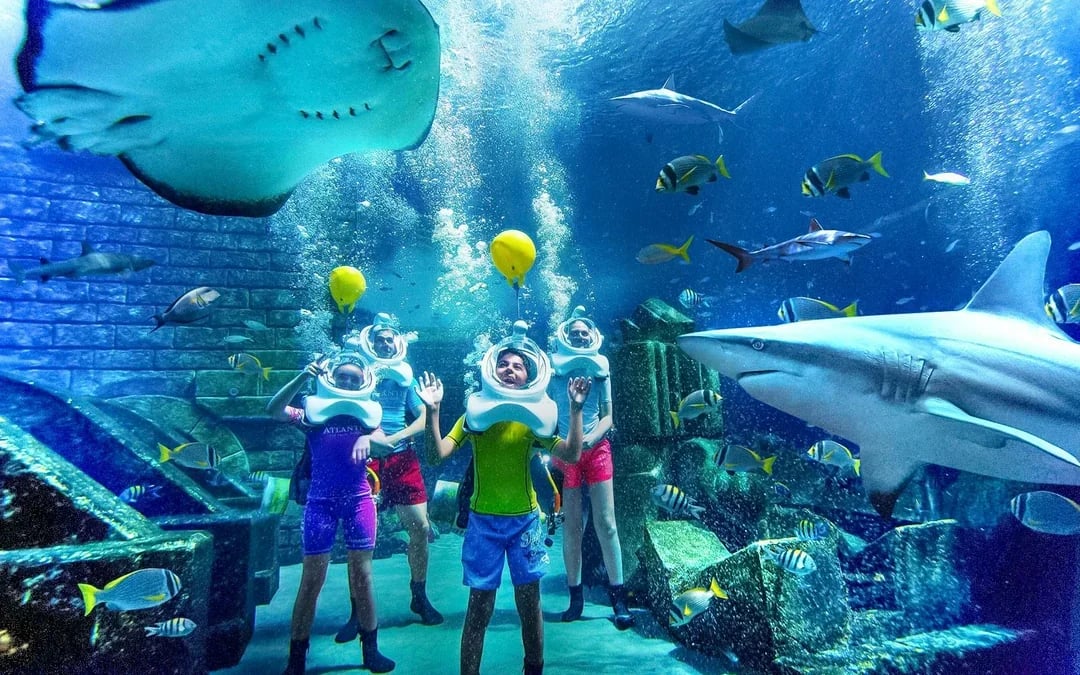 Atlantis The Palm Dolphin Kayak or Paddle Tickets Image 6
