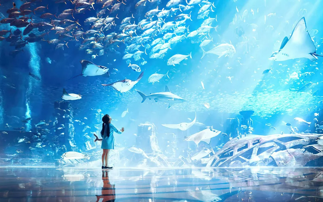 Atlantis The Palm Dolphin Kayak or Paddle Tickets Image 7
