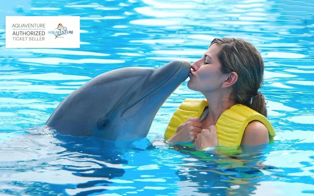 Atlas Village: Atlantis Dolphin Meet & Greet Image 2