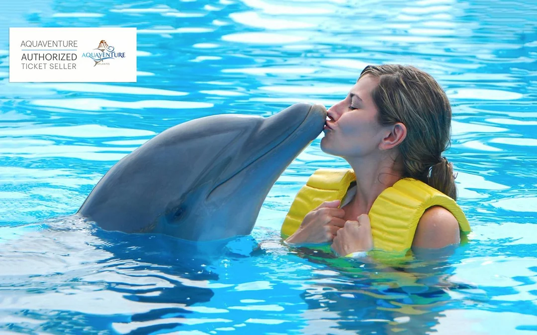 Atlas Village: Atlantis Dolphin Meet & Greet Image 2