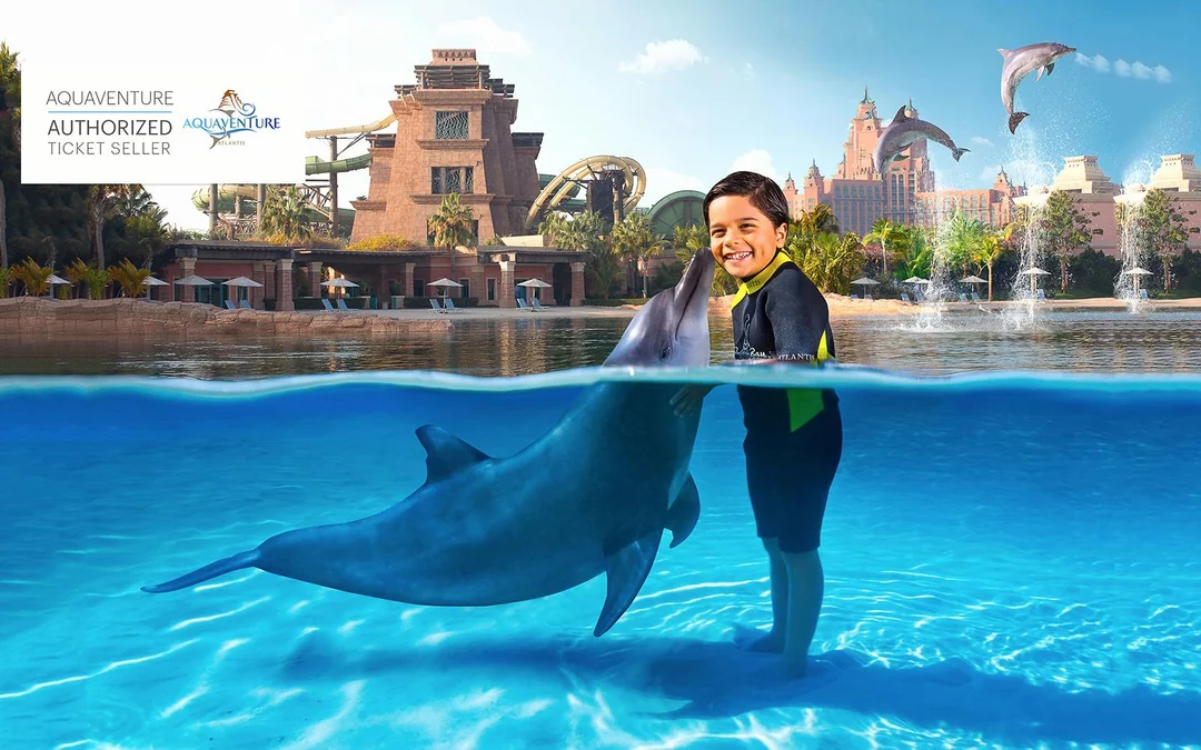 Atlas Village: Atlantis Dolphin Meet & Greet Image 3