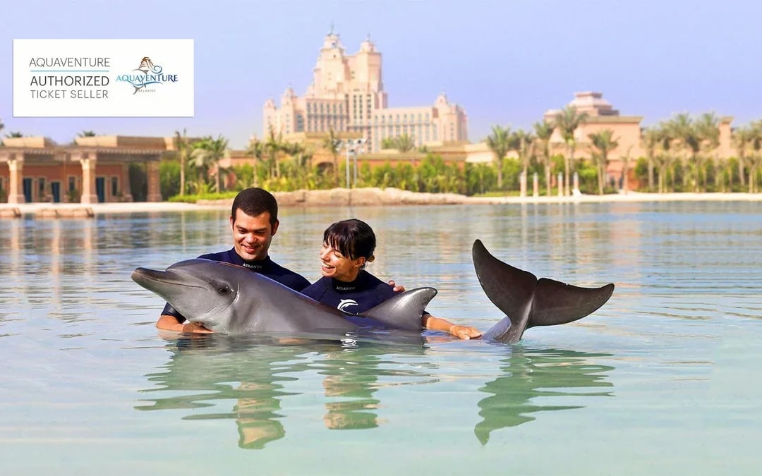 Atlas Village: Atlantis Dolphin Meet & Greet Image 4