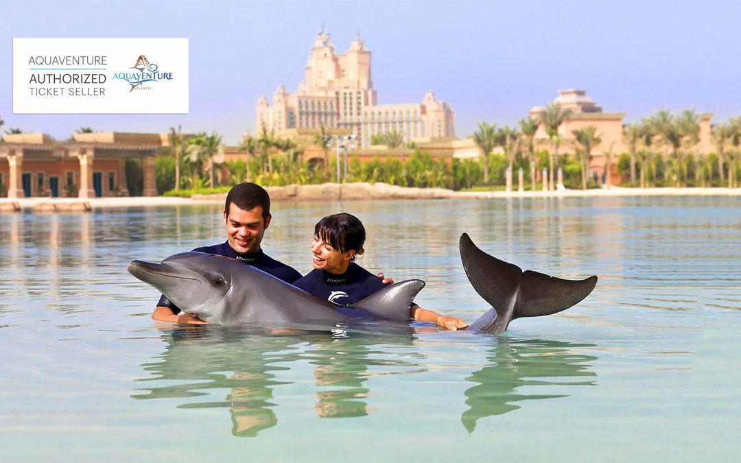 Atlas Village: Atlantis Dolphin Meet & Greet Image 4