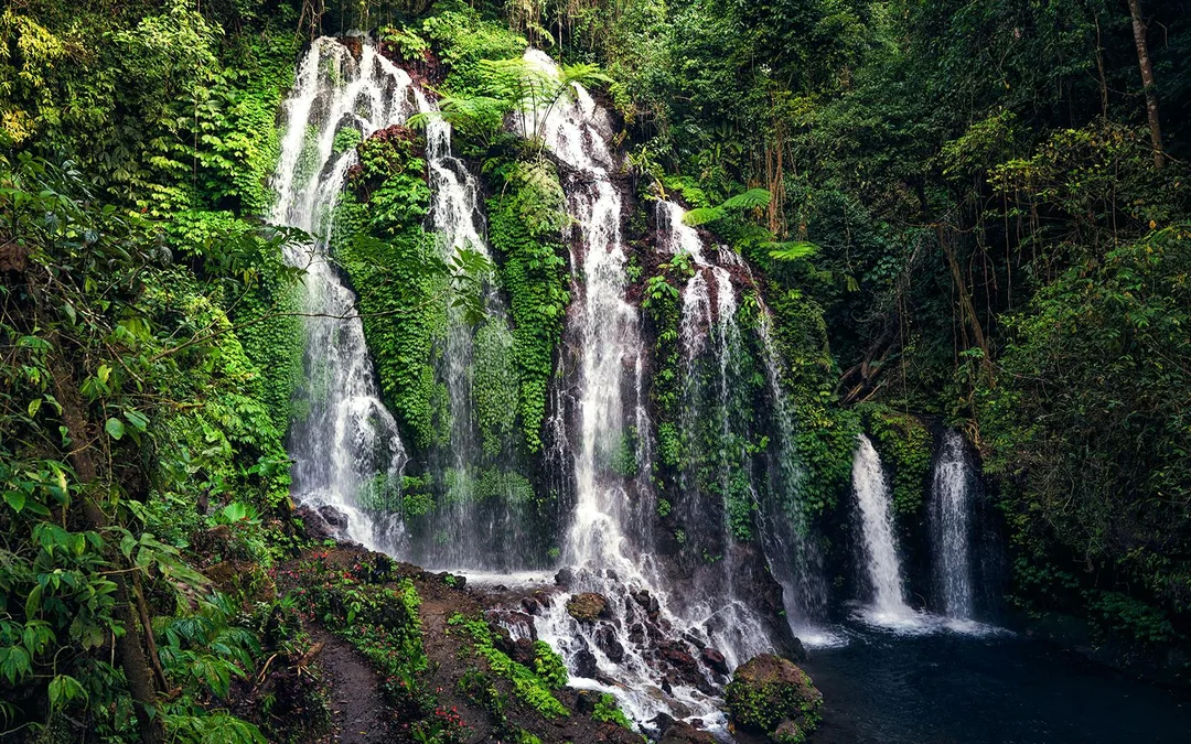 ATV Bike Ride with Waterfall, Bali Swing and Lunch
 Image 5