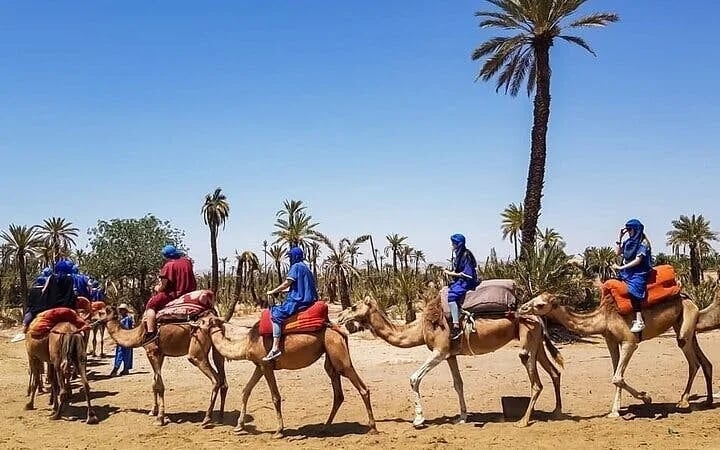 ATV Quad Adventure and Camel Ride at Palmeraie Desert - Marrakesh Image 8