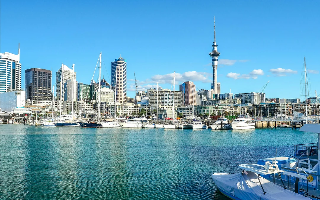 Auckland Harbour Scenic Sightseeing Cruise Image 4
