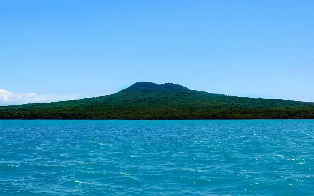 Auckland Harbour Scenic Wine & Cheese Cruise Image 8