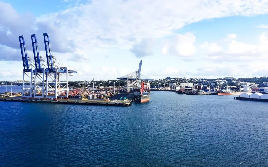 Auckland Harbour Scenic Wine & Cheese Cruise Image 9