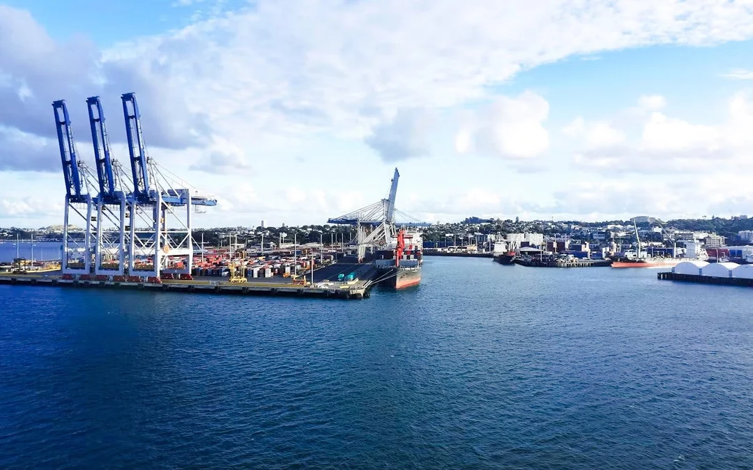 Auckland Harbour Scenic Wine & Cheese Cruise Image 9