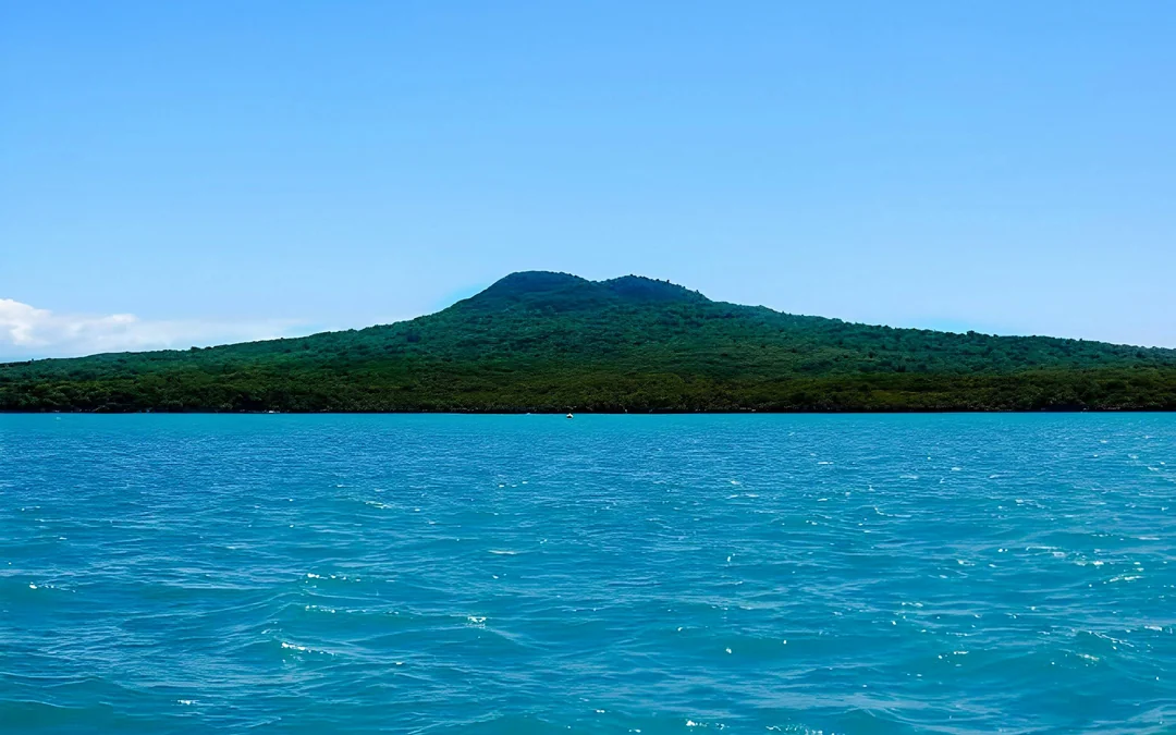 Auckland Scenic Harbour Cruise with Live Commentary Image 5