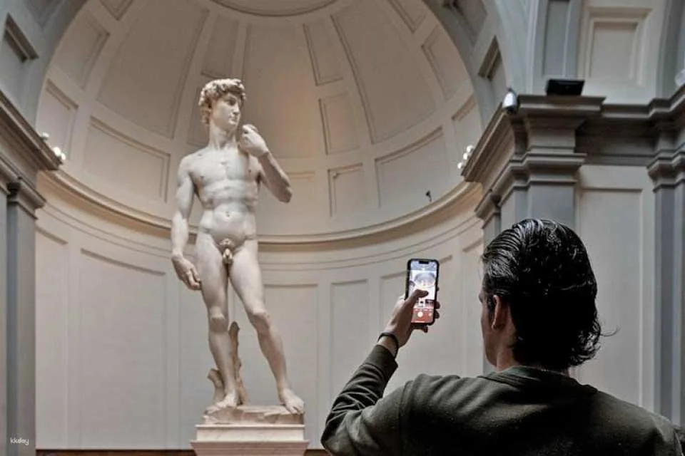 Audioguided tour at the Accademia Gallery with live expert commentary