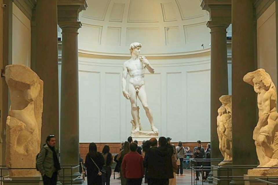 Audioguided tour at the Accademia Gallery with live expert commentary
