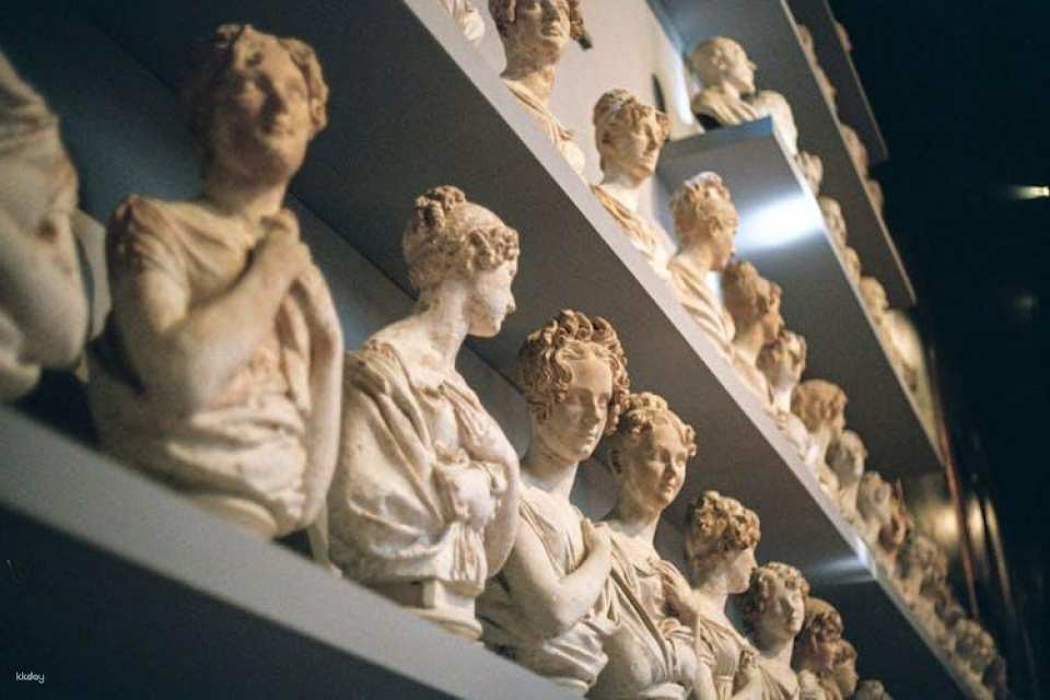 Audioguided tour at the Accademia Gallery with live expert commentary