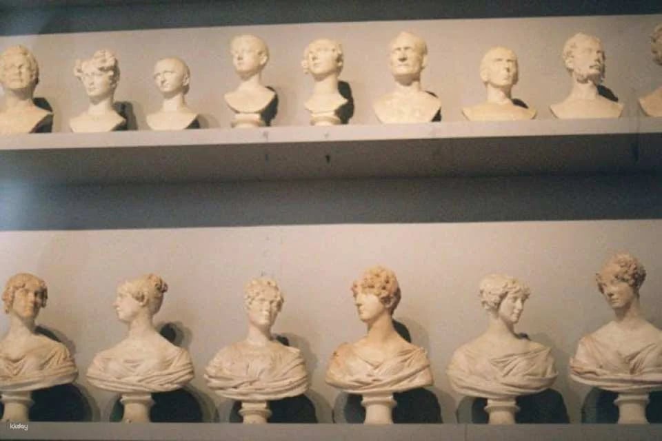 Audioguided tour at the Accademia Gallery with live expert commentary