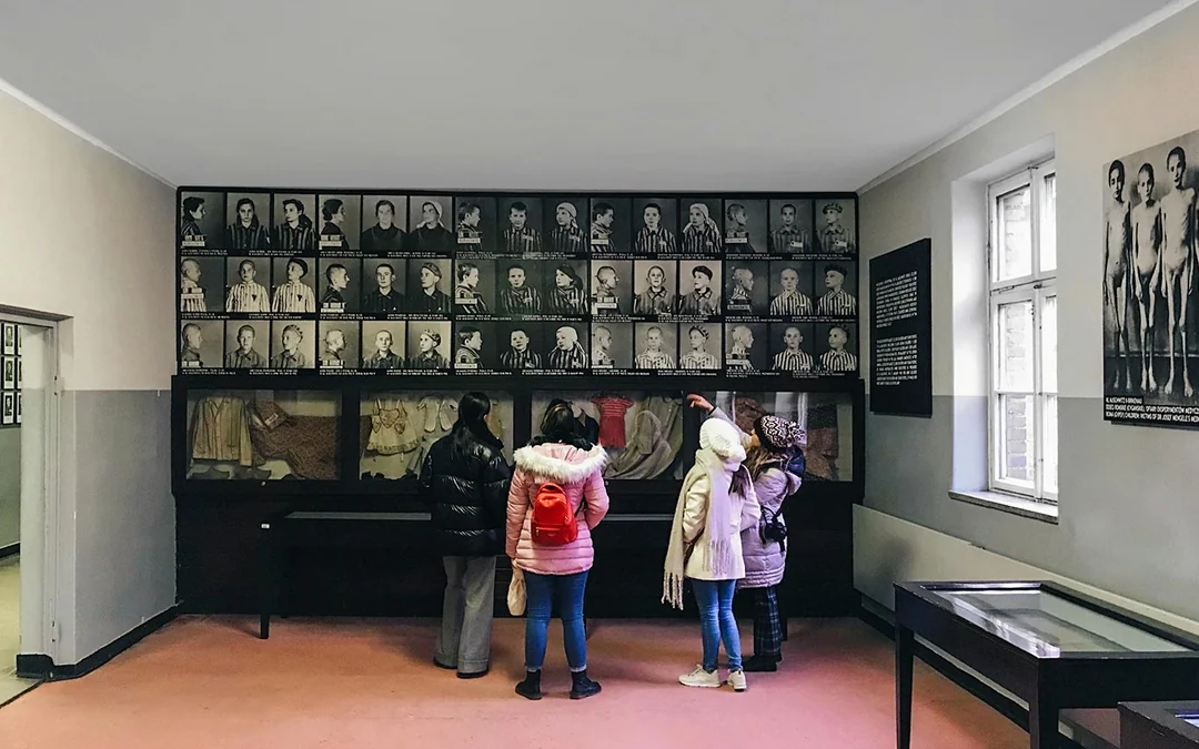 Auschwitz & Birkenau Guided Tour with Transfers & Optional Private Tour Image 1