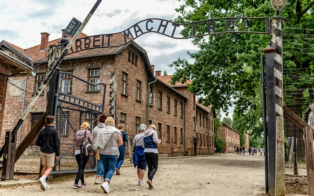 Auschwitz & Birkenau Guided Tour with Transfers & Optional Private Tour Image 4