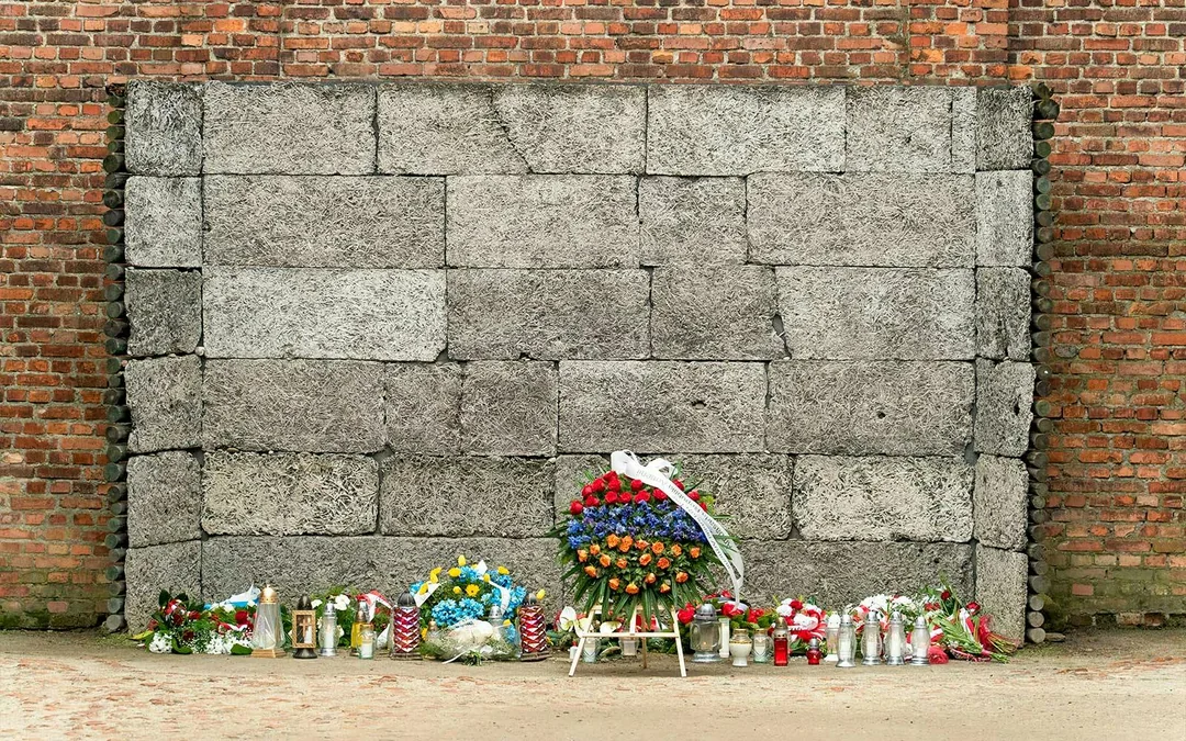 Auschwitz & Birkenau Guided Tour with Transfers & Optional Private Tour Image 5