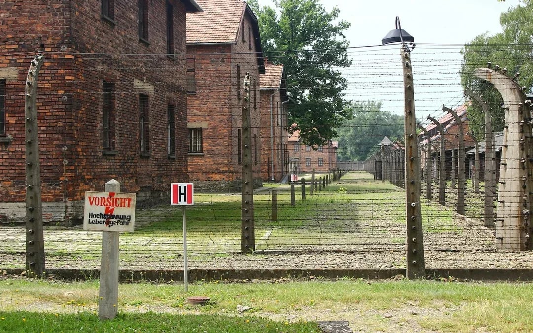 Auschwitz & Birkenau Guided Tour with Transfers & Optional Private Tour Image 6