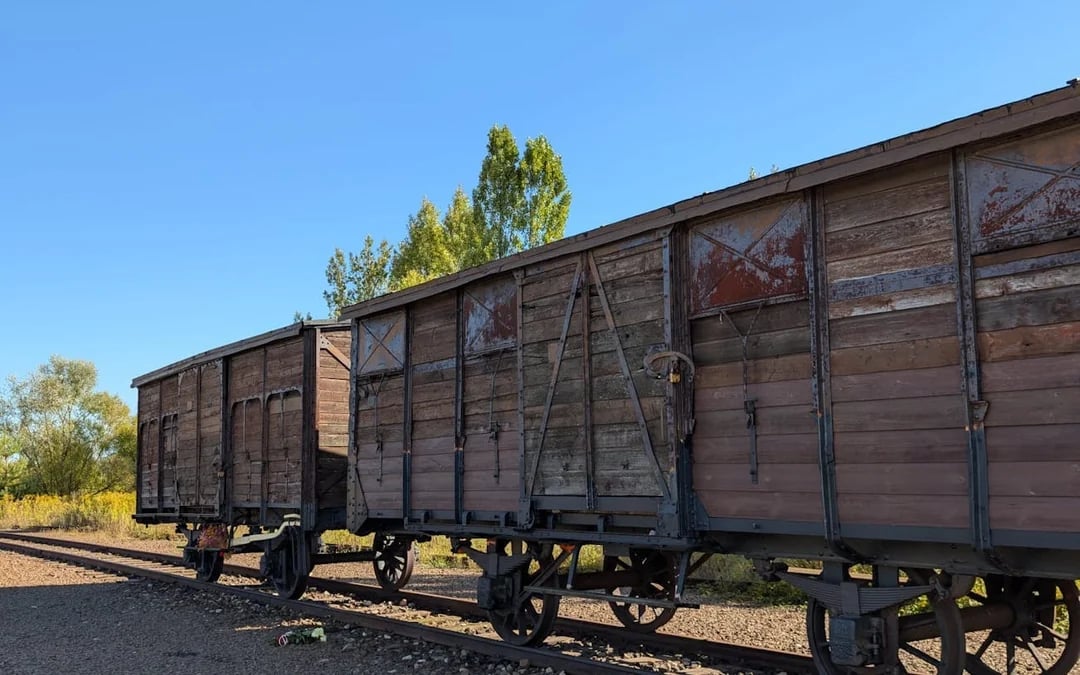 Auschwitz, Birkenau and Monowitz Outdoor Perimeter Guided Tour from Krakow Image 5