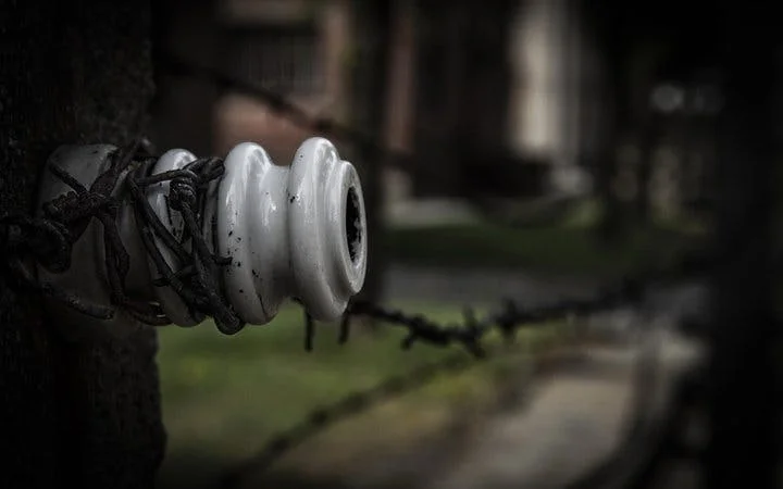 Auschwitz Birkenau Guided Tour - Tickets & Transport from Krakow Image 3
