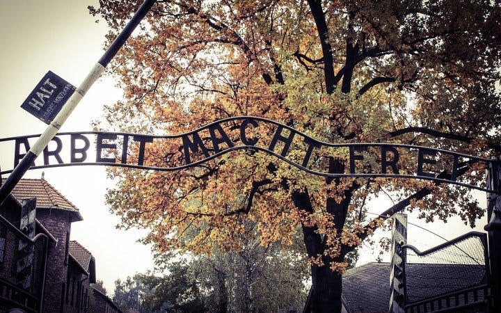Auschwitz Birkenau Guided Tour - Tickets & Transport from Krakow Image 4