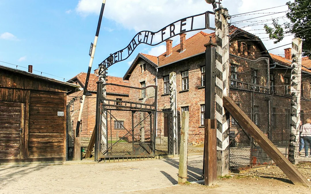 Auschwitz-Birkenau Guided Tour with Fast-Track Tickets & Transfer Options Image 3