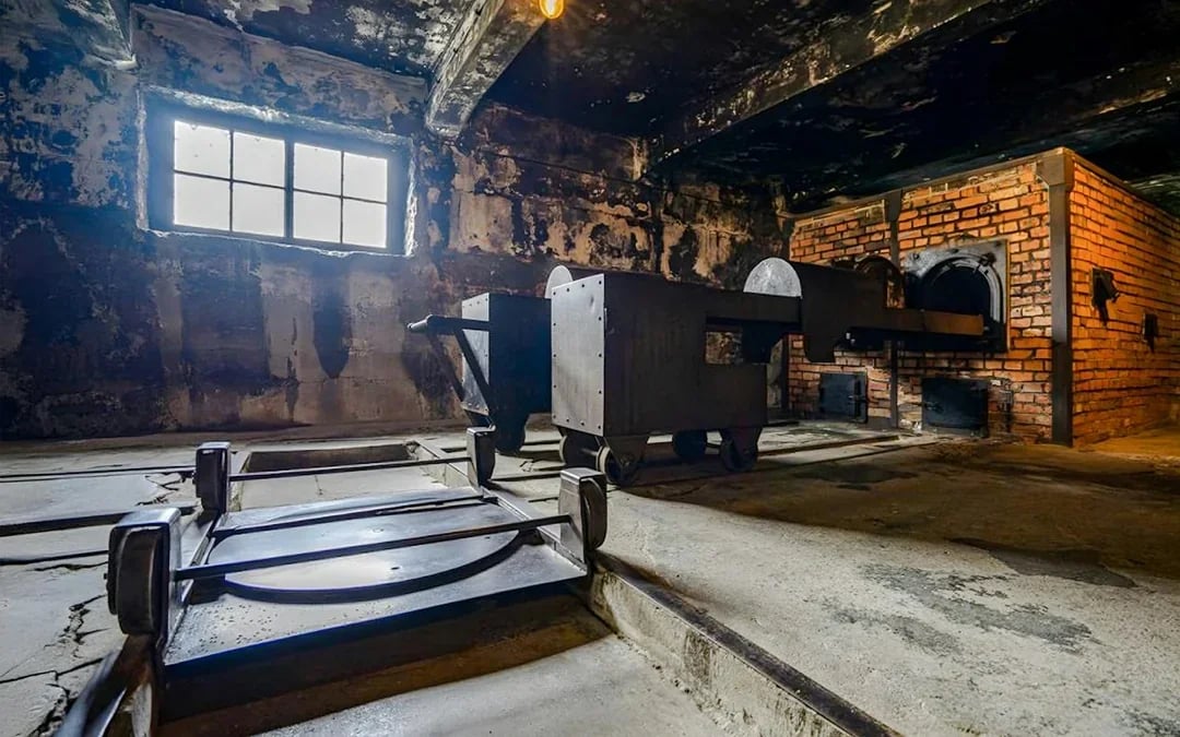 Auschwitz-Birkenau Guided Tour with Fast-Track Tickets & Transfer Options Image 9