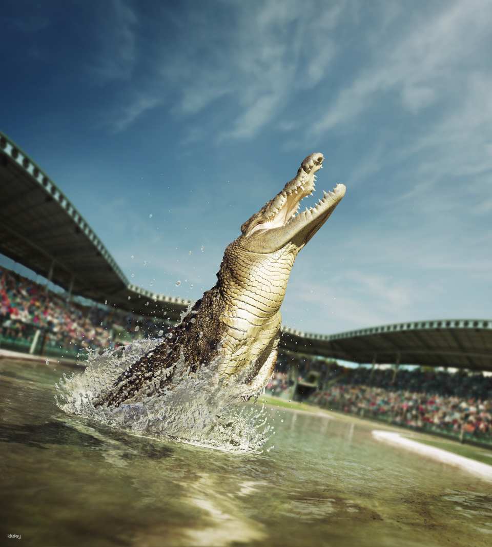 Australia Zoo Entry with Brisbane City Transfers | Australia