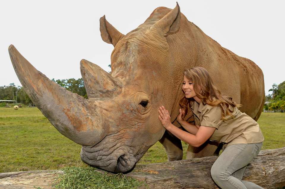 Australia Zoo Entry with Brisbane City Transfers | Australia