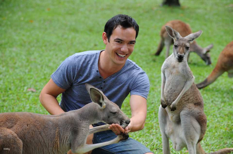 Australia Zoo Entry with Brisbane City Transfers | Australia